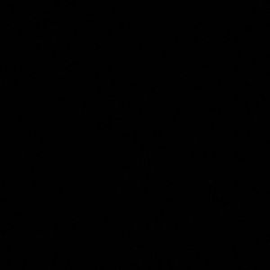 Meet your Posher, Armani